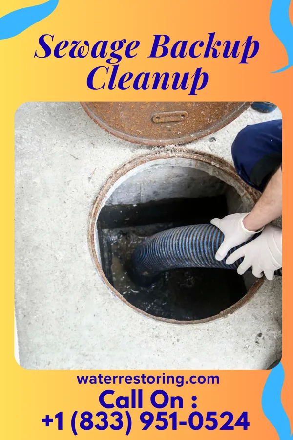Sewage Backup Cleanup in Lewisport, KY