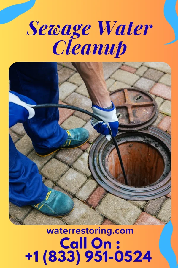 Sewage Water Cleanup in Lewisport, KY