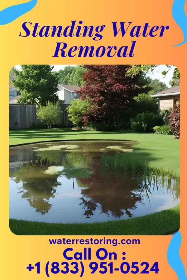 Standing Water Removal in Lewisport, KY